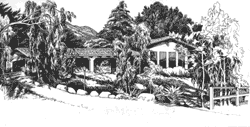 The front drive of a home and the landscaped yard, done in ink by Karen.