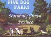 This image is the front of the Five dog farm post card showing the five dogs sitting in front of the farm with a horse in the background and trees all around.