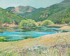 A pond in late spring with the grasses turning yellow but the trees are still budding out.