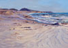 This image of the pacific coast sea with greens and blues as it crashes to the sandy shore. 