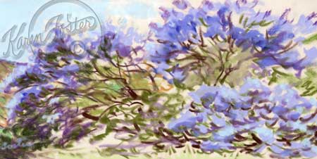 This painting is of a full canvas sized ceonothus, lilic bush in full vibrant blossom of purpleand blues and pink and whites. 