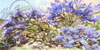 Vibrant blue lilac bush fill this painting. 