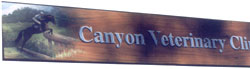 A sign that saids Canyon Veterinary Clinic.