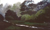 This image is of the clearing of the sky and the trees after a rain and the river is running and everything is clear.