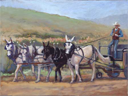 Come around image of four mules, three white and a dark bay, pulling a wagon in the foothills.