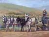 Come around image of four mules, three white and a dark bay, pulling a wagon in the foothills.