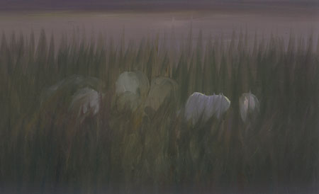 This image is of the white mares and their foals in the dusk light.