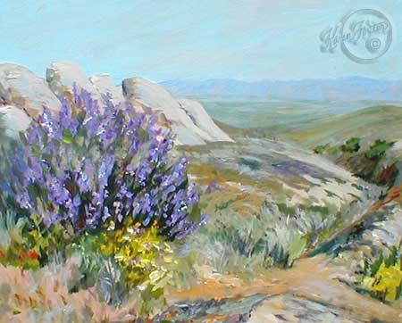 Easter Sunday in the native California coastal plains, with vibrant purple lupines blooming and other wild flowers of yellows, gold and reds and blue, scattered on the valleys and hills and occational rock cropping.