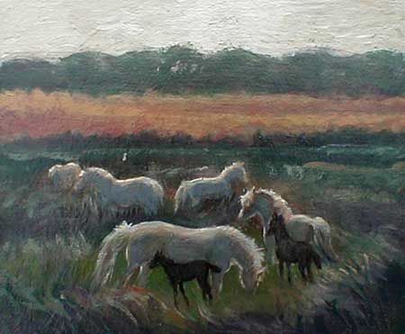 This image is of the white mares with their dark foals beside them in the marsh in the evening.