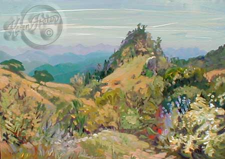 This hill is filled with jewel colored flowers and the whole scene has a look of a fairy tale hill.