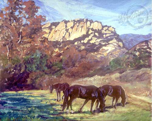 Three black horses grazing in a meadow with the plants and mountains in the background.