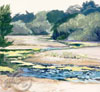 June river as it meanders through a valley with olive and green trees and brush in the background.