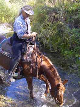 Karen is shown riding her red mare horse named Ginny as they stop at a creek to drink the water.