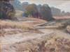 This image is of the Los Osos Dunes.