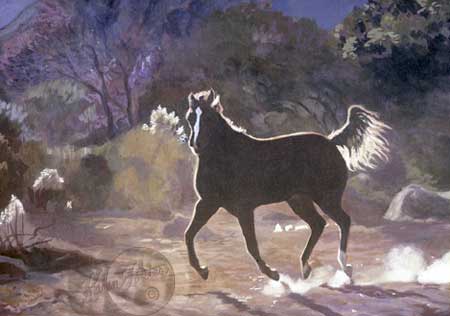 One of my horses as he gallops in the moonlight and the purple sky and light sky back lights him as he runs.