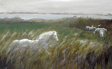 This image is a white horse returning to the herd in the tall marsh grass.