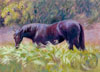 Painting of a black horse grazing in the tall summer grass.