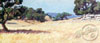 The dry grasses meadow with a few trees in the back ground.