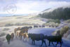 These cattle of red and black are traveling down a coastal road with the ocean in the distance. 