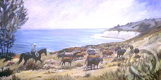 These cattle are being gathered by horse back riders and are traveling along a ridge above the ocean with brush and wild grasses and flowers for their trail.