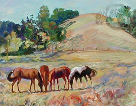 Four horses, two red, one bay with black main and tail and on black and white paint with white socks are grazing in a pasture in the evening time with a dry grasses hill and green trees in the background.