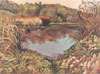 The autumn with wetlands, a pond and the fall brush and trees surrounding.