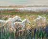 This image is called "Young ones (the Bully). It has white horses running through the marsh grasses.